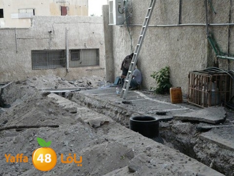 tarmem kanesa  1108 (1).jpg